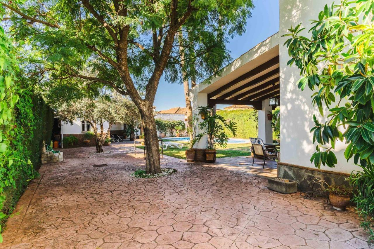 Chalet El Santiscal Arcos de la Frontera Εξωτερικό φωτογραφία